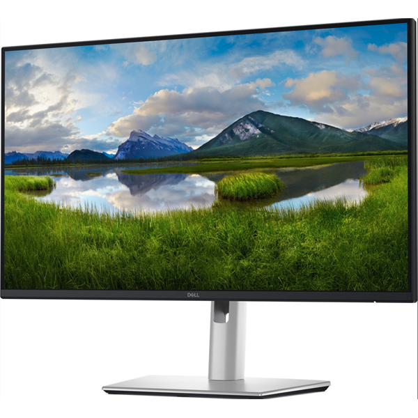 DELL PRO 24 PLUS MONITOR QHD+C P2425DE. 60.5CM (23.8IN)
